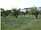 51 Parkers Lane, Thulimbah QLD 4376