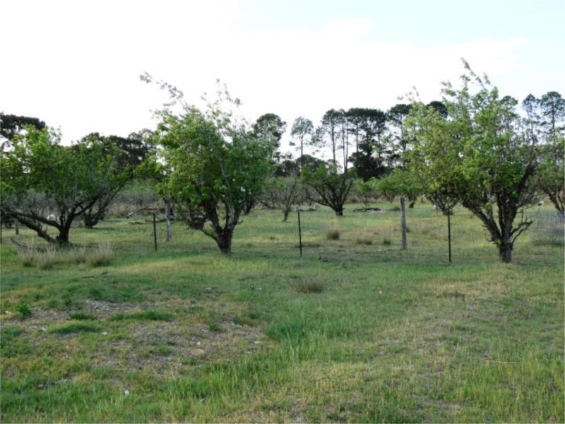 51 Parkers Lane, Thulimbah QLD 4376