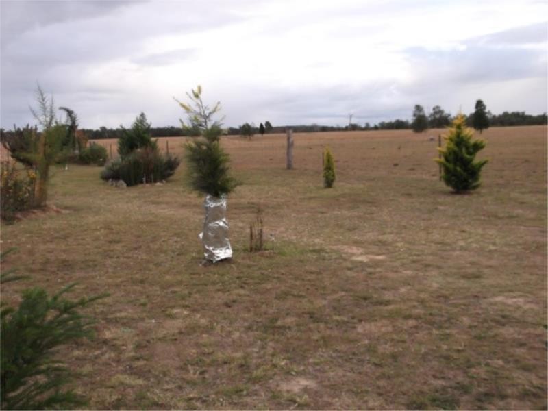 1502 Bruxner Hwy (Lot 16 & 17), Texas QLD 4385