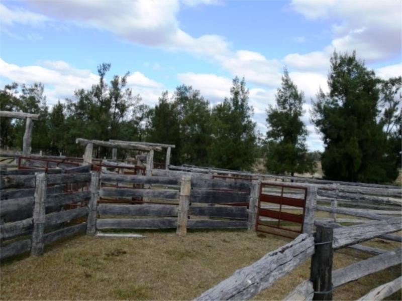 1502 Bruxner Hwy (Lot 16 & 17), Texas QLD 4385