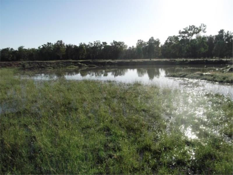 1502 Bruxner Hwy (Lot 17), Texas NSW 4385