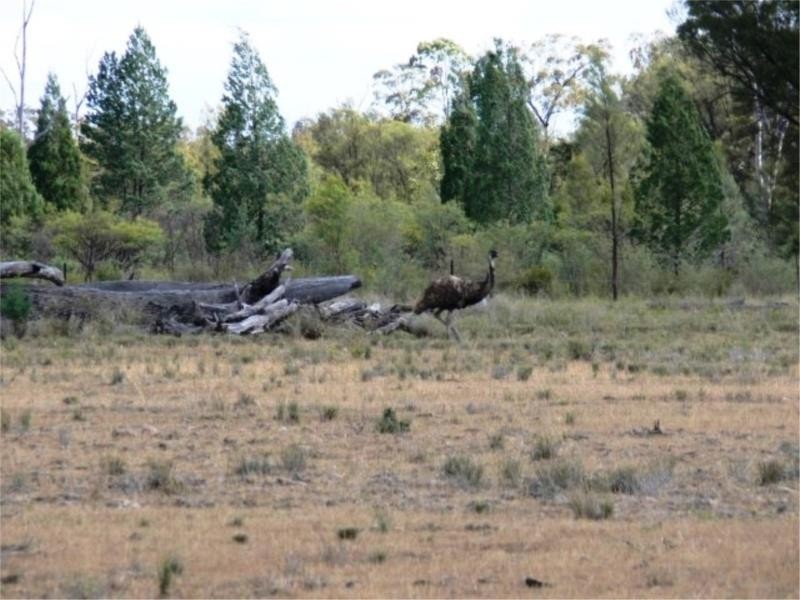 1502 Bruxner Hwy (Lot 17), Texas NSW 4385