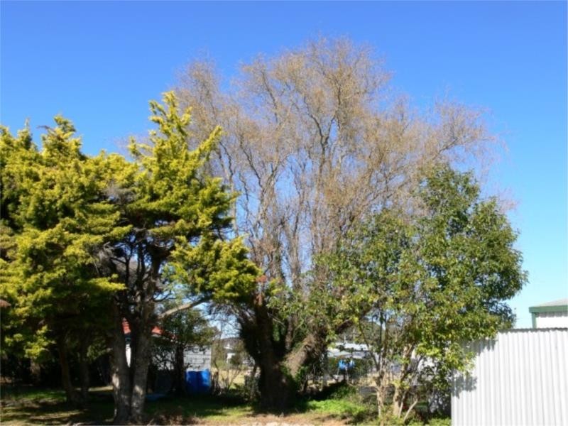 25 Stanton Street, Stanthorpe QLD 4380