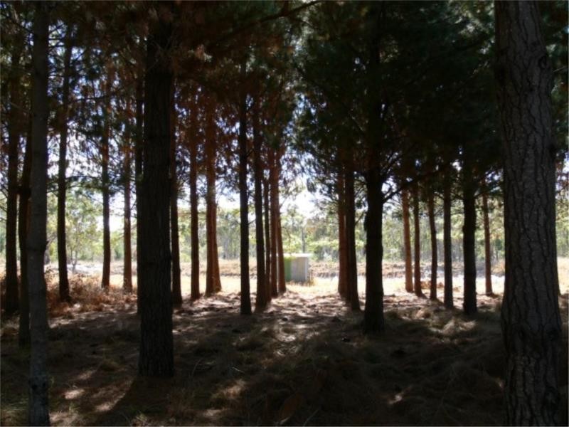 25 Mt Hutton Road, Stanthorpe QLD 4380