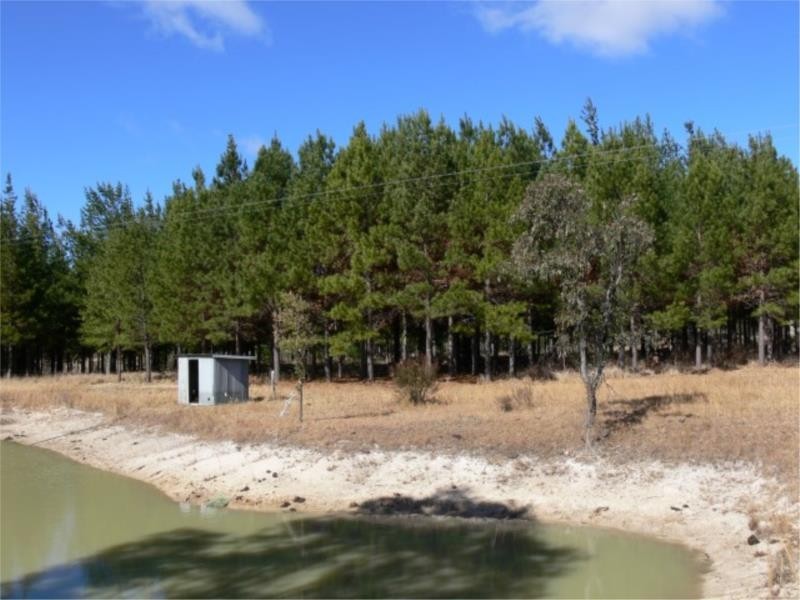 25 Mt Hutton Road, Stanthorpe QLD 4380