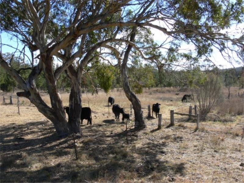 25 Mt Hutton Road, Stanthorpe QLD 4380