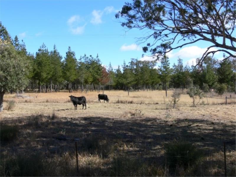 25 Mt Hutton Road, Stanthorpe QLD 4380