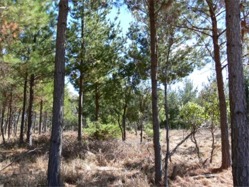 25 Mt Hutton Road, Stanthorpe QLD 4380