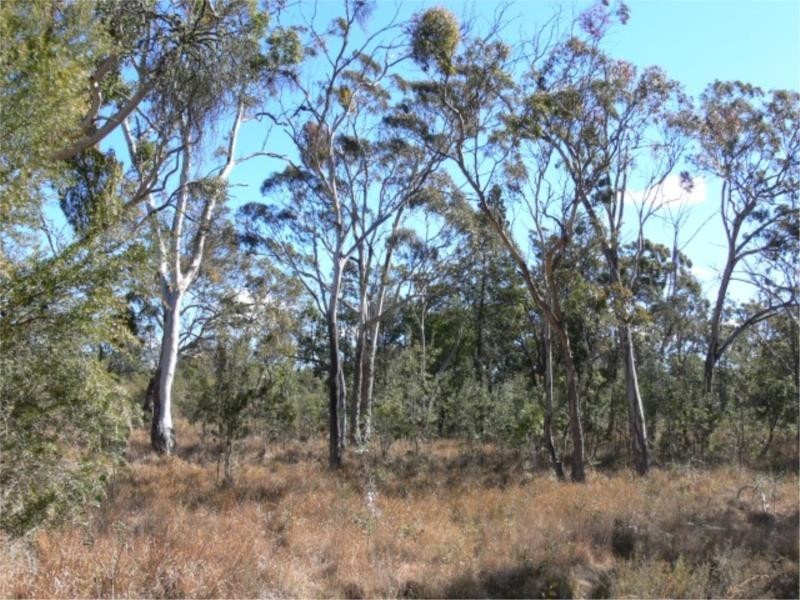 25 Mt Hutton Road, Stanthorpe QLD 4380