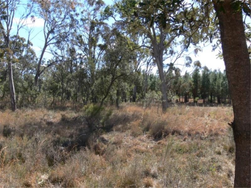 25 Mt Hutton Road, Stanthorpe QLD 4380