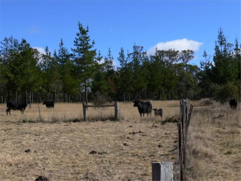 25 Mt Hutton Road, Stanthorpe QLD 4380