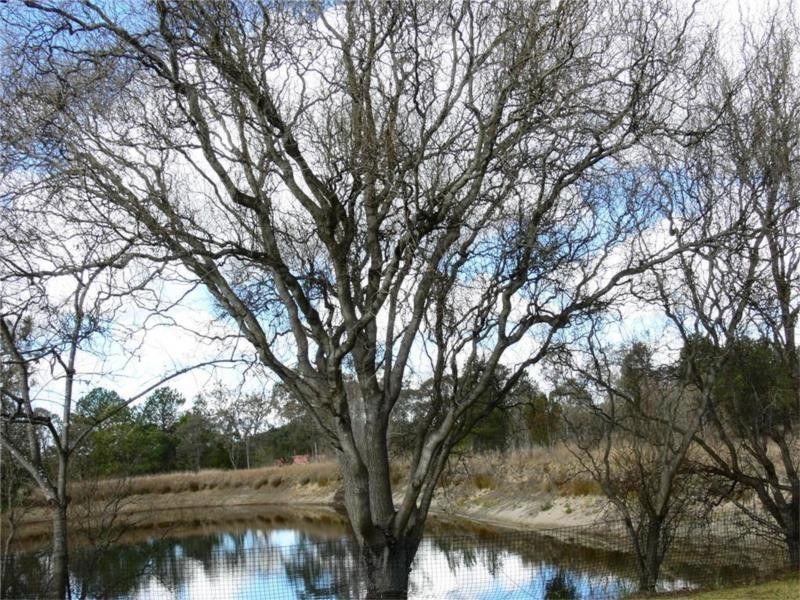 25555 New England Highway, Stanthorpe QLD 4380