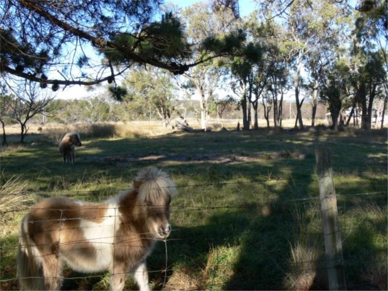 197 Ellwood Road, Stanthorpe QLD 4380