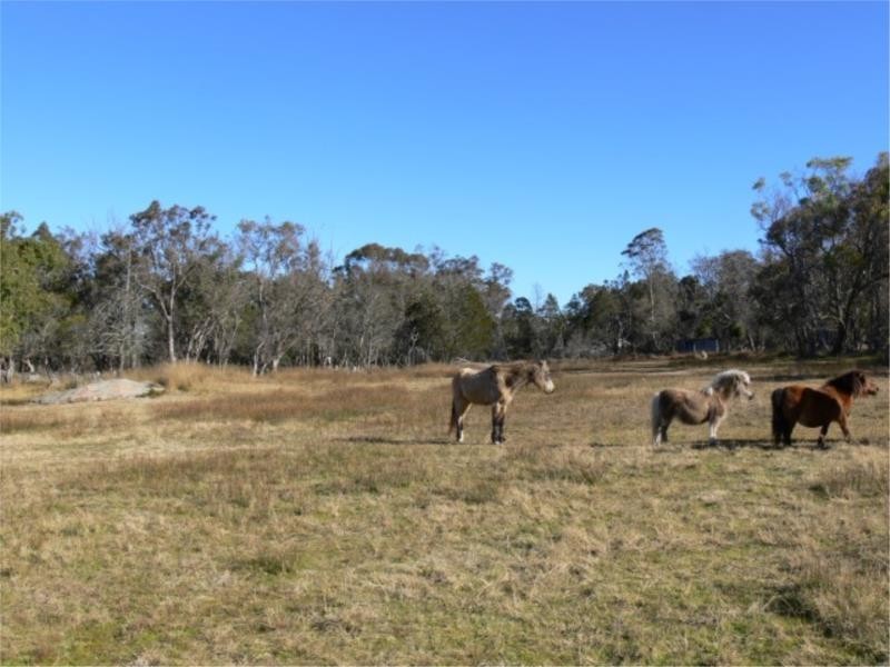 197 Ellwood Road, Stanthorpe QLD 4380