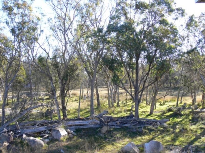 197 Ellwood Road, Stanthorpe QLD 4380