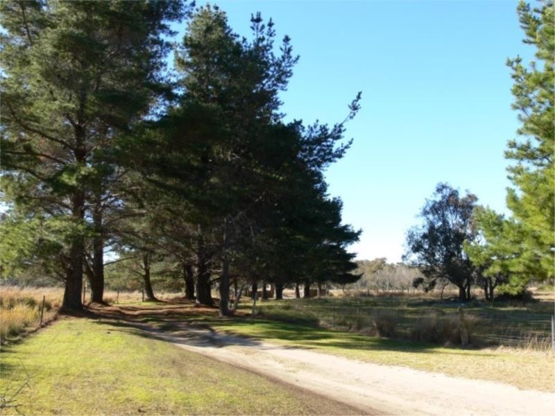 197 Ellwood Road, Stanthorpe QLD 4380