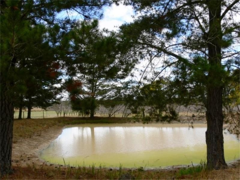 8 Johnson Lane, Stanthorpe QLD 4380