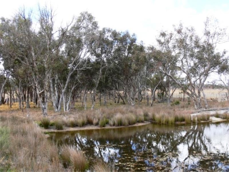 134 Barnes Road, Stanthorpe QLD 4380