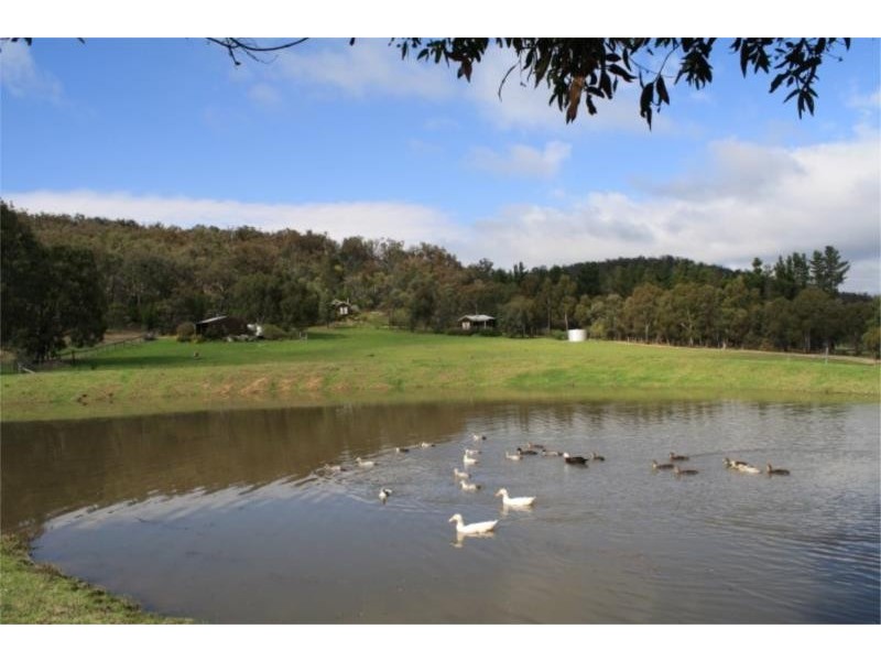 2117 Pyramids Road, Stanthorpe QLD 4380