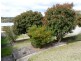108 Sugarloaf Road, Stanthorpe QLD 4380