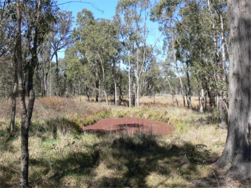 85 Nielsens Road, Stanthorpe QLD 4380