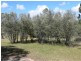 46 Sugarloaf Road, Stanthorpe QLD 4380
