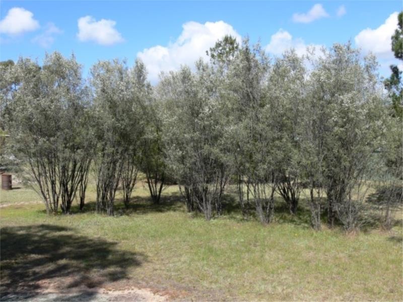 46 Sugarloaf Road, Stanthorpe QLD 4380