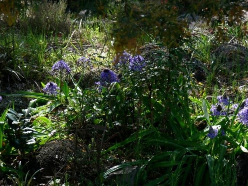 46 Sugarloaf Road, Stanthorpe QLD 4380