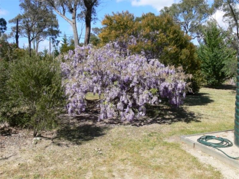 46 Sugarloaf Road, Stanthorpe QLD 4380