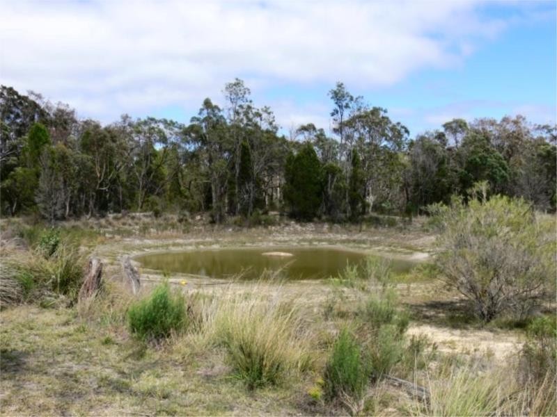 71 Minuti Lane, Stanthorpe QLD 4380