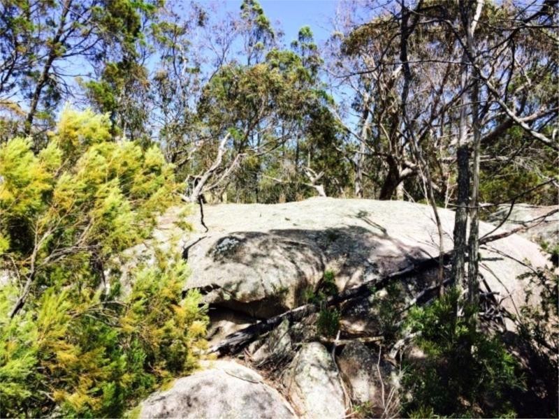 71 Minuti Lane, Stanthorpe QLD 4380