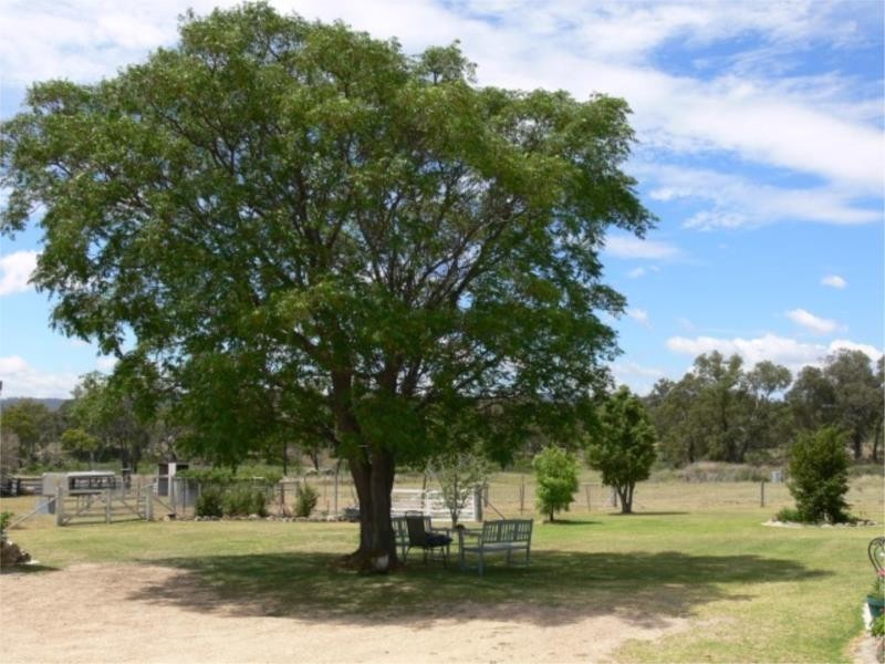 43 Stabiles Road, Stanthorpe QLD 4380