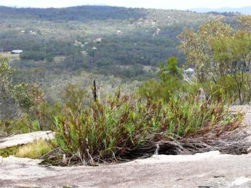 140 Limberlost Road, Fletcher via, Stanthorpe QLD 4380