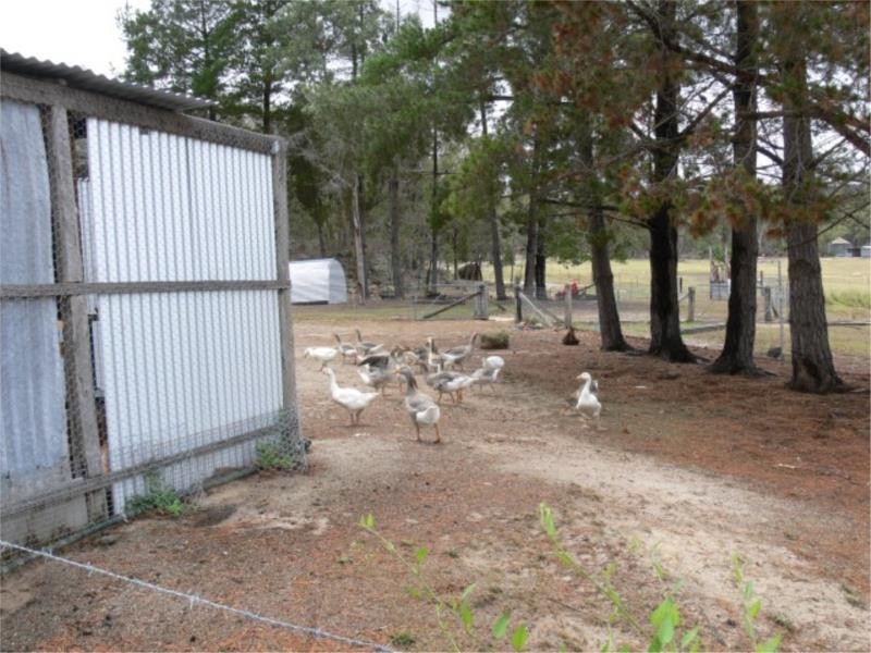 140 Limberlost Road, Fletcher via, Stanthorpe QLD 4380