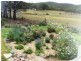 140 Limberlost Road, Fletcher via, Stanthorpe QLD 4380