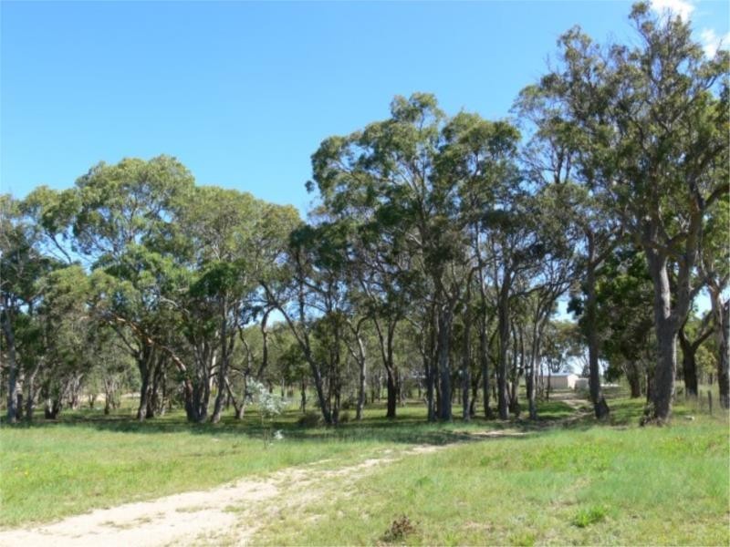853 Cannon Creek Road, Bapaume via, Stanthorpe QLD 4380