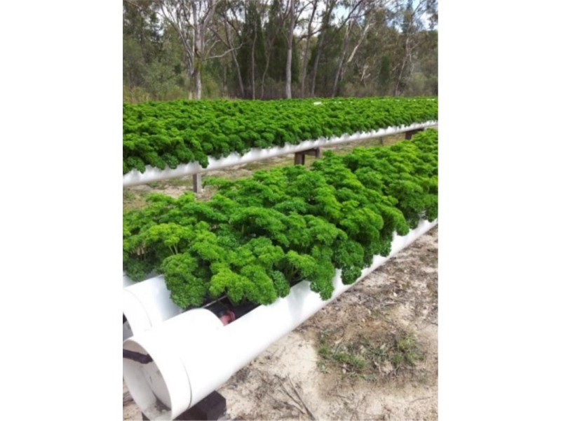 Lot 2 Back Creek Road, Severnlea, Stanthorpe QLD 4380