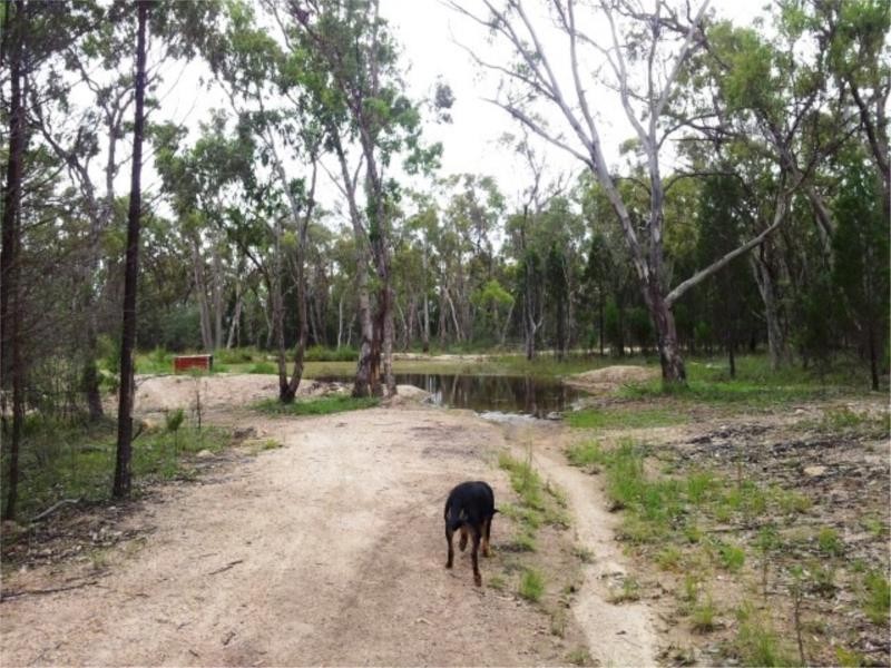 Lot 2 Back Creek Road, Severnlea, Stanthorpe QLD 4380