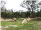 Lot 2 Back Creek Road, Severnlea, Stanthorpe QLD 4380
