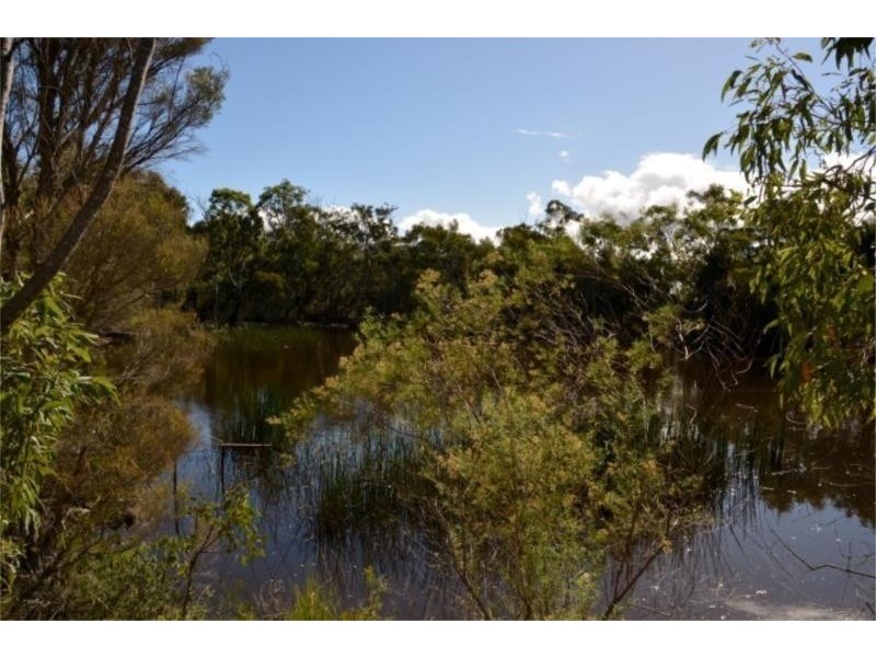 234 Limberlost Road, Fletcher via, Stanthorpe QLD 4380