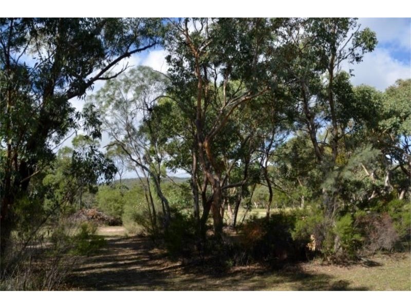 234 Limberlost Road, Fletcher via, Stanthorpe QLD 4380