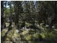 192 Glen Niven Road Glen Niven via, Stanthorpe QLD 4380
