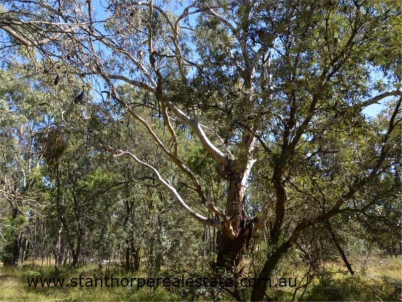 192 Glen Niven Road Glen Niven via, Stanthorpe QLD 4380