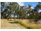 107 Old Caves Road, Stanthorpe QLD 4380