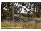 107 Old Caves Road, Stanthorpe QLD 4380