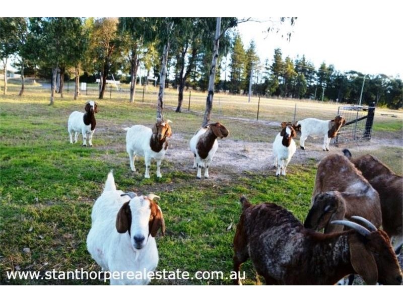 183 Lofaros Road, Severnlea via, Stanthorpe QLD 4380