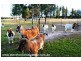 183 Lofaros Road, Severnlea via, Stanthorpe QLD 4380