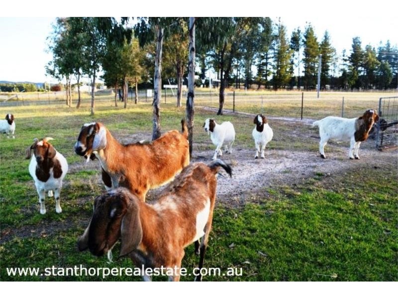 183 Lofaros Road, Severnlea via, Stanthorpe QLD 4380