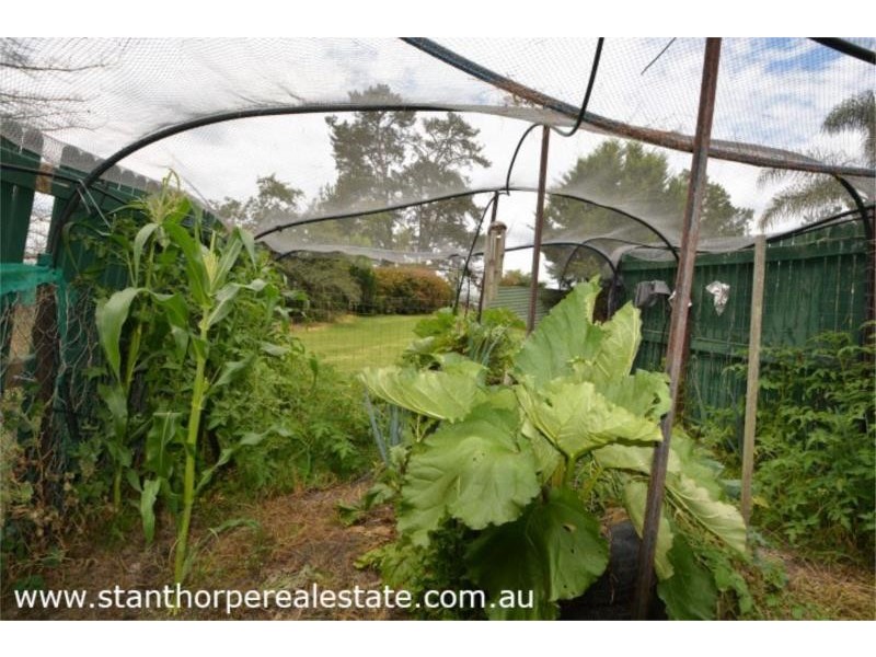 30 Roessler Avenue, Applethorpe via, Stanthorpe QLD 4380