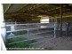 26931 New England Highway, Severnlea via, Stanthorpe QLD 4380